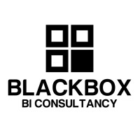 BlackBox-BI: A French Start-Up that Provides Easy to Use Affordable Business Intelligence for Companies of all Sizes